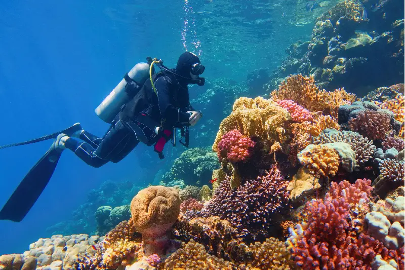 la bellezza del luogo, sharm el-sheikh egitto