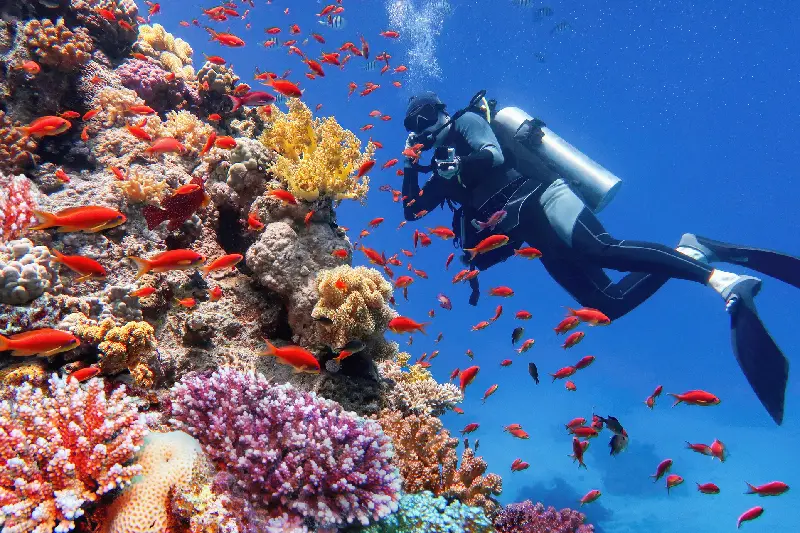 la bellezza del luogo, sharm el-sheikh egitto