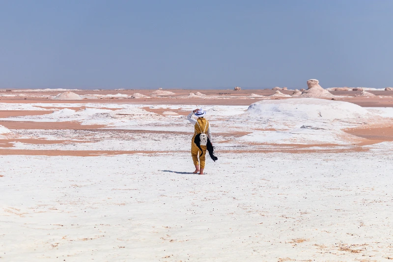 turista si gode la bellezza nel deserto bianco