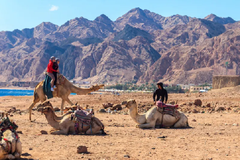 la bellezza di sinai, monastero di santa caterina monte sinai