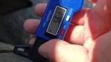 IMG 20260731 111530