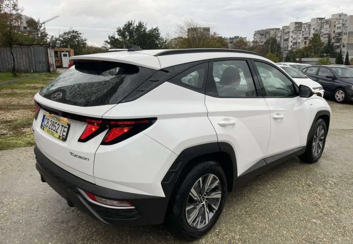 Viber изображение 2025 10 27 15 40 47 026