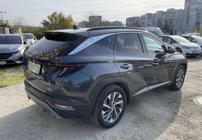 Viber изображение 2025 11 21 10 04 15 198