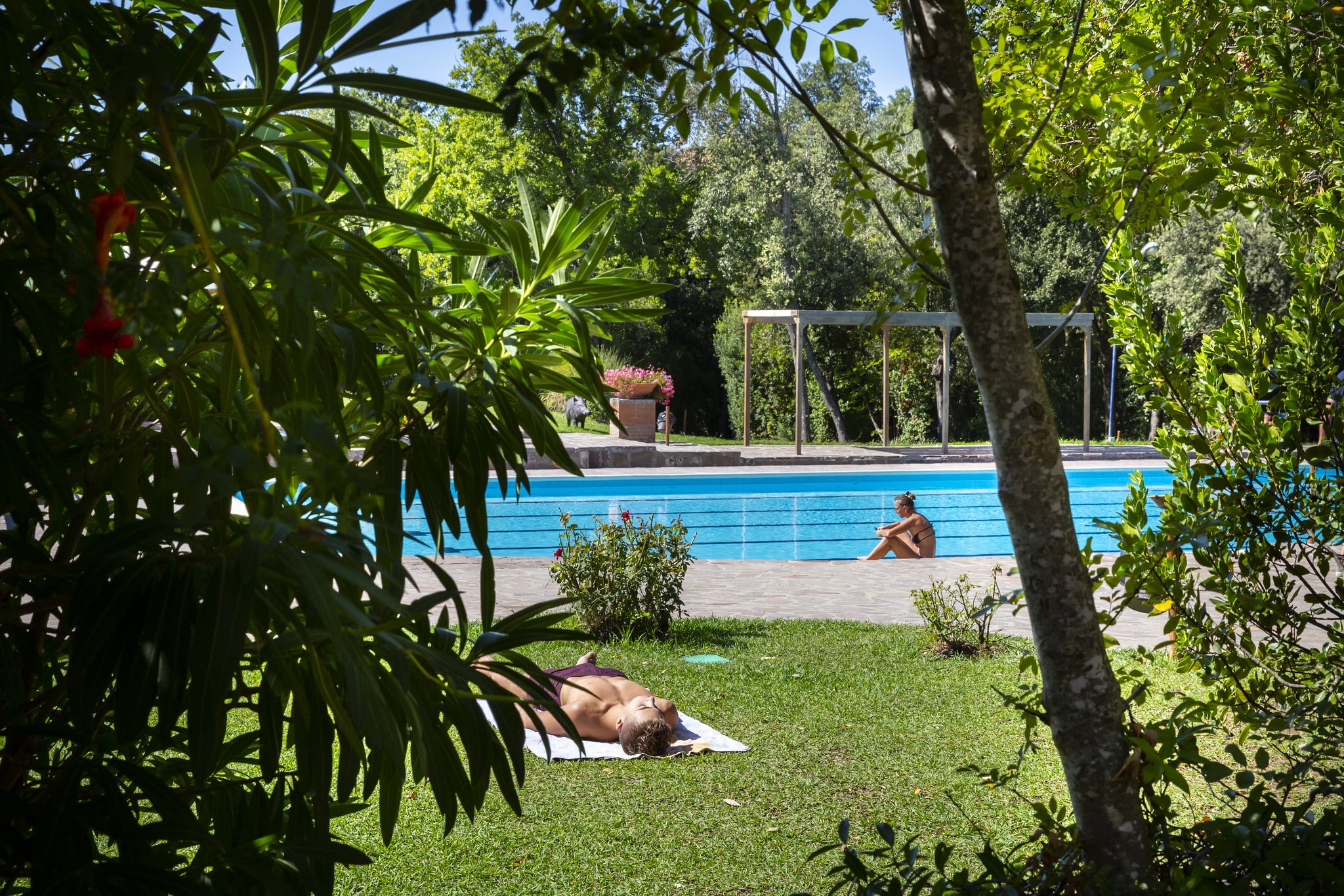 Montescudaio Piscina Olimpionica