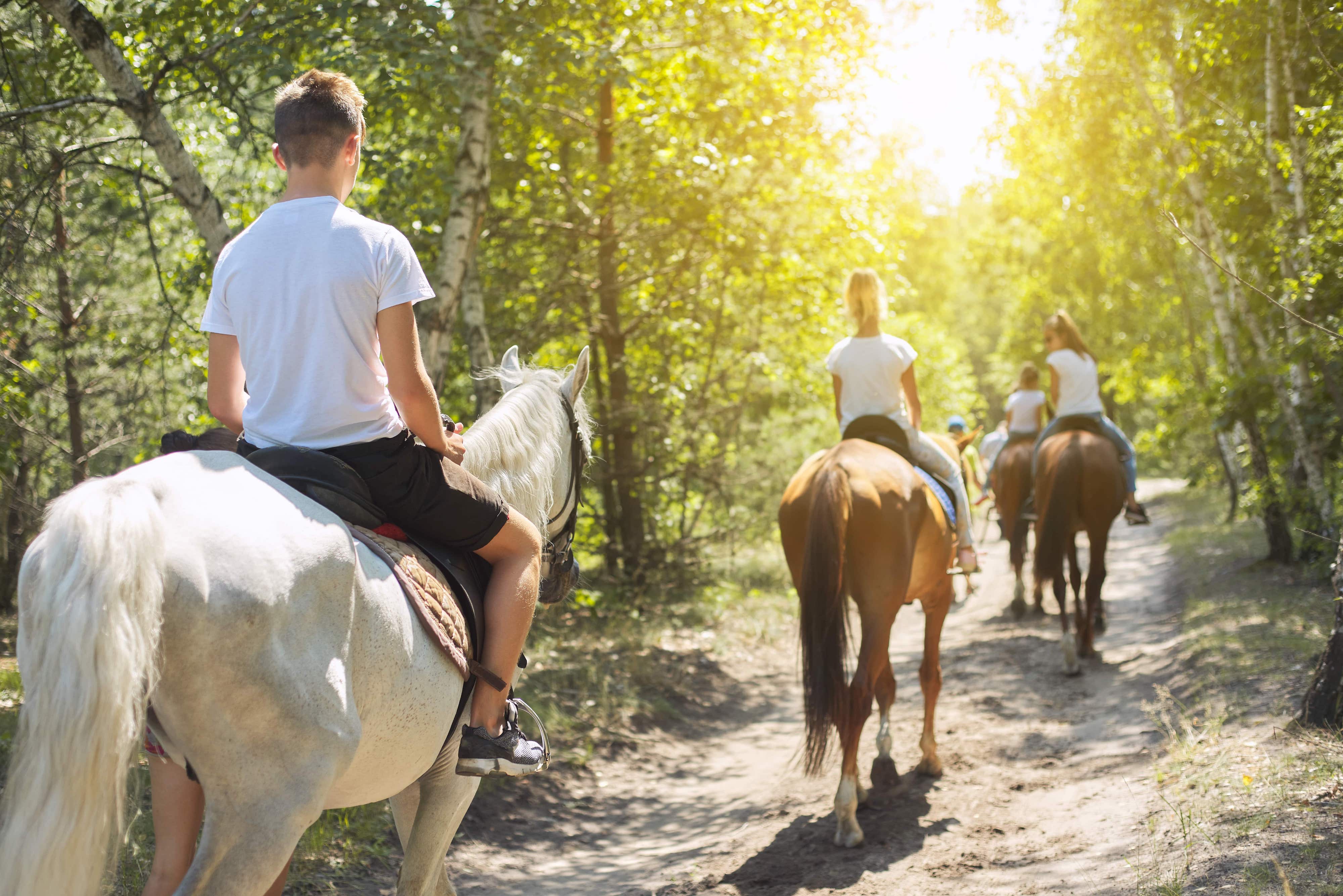 Horseback ride | Park Albatros Village Prenota la tua passeggiata a cavallo con tutta la famiglia in Toscana