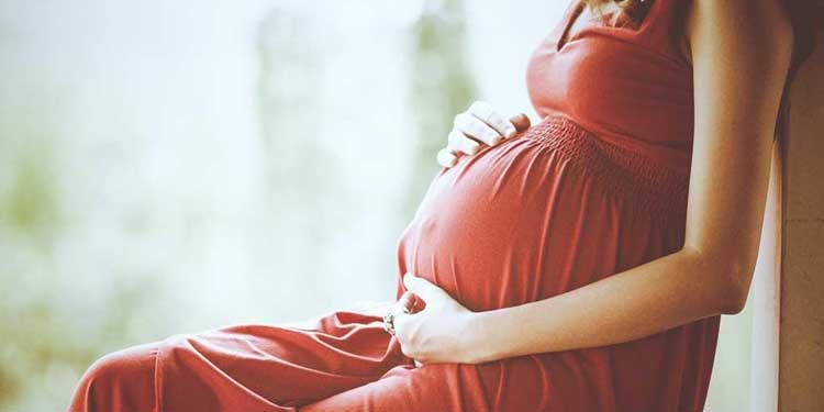 2. Düzey (İleri Düzey / Detaylı) Ultrason 2