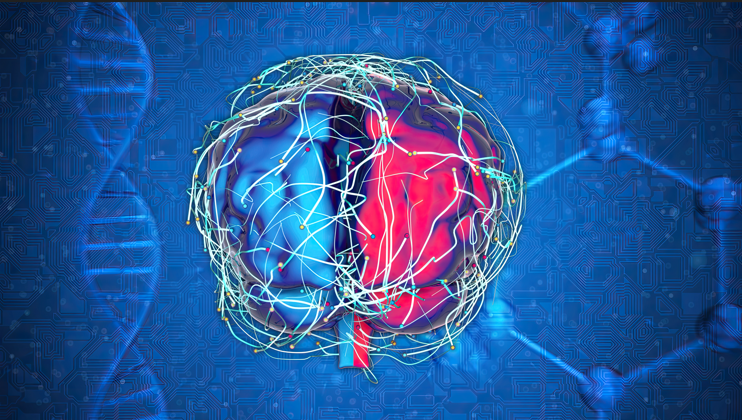 Nöroşirurjikal Açıdan Nöroonkoloji