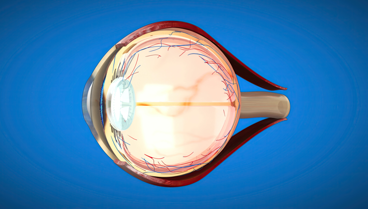 Sarı Nokta Hastalığı - Erhan Özyol