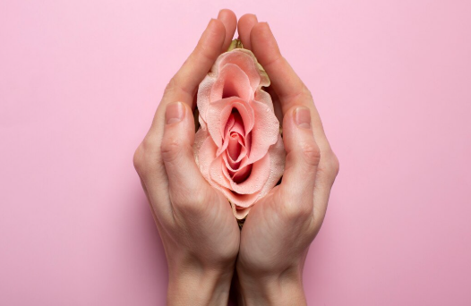 vajinoplasti-nedir-op-dr-zeynel-abidin-ozdil