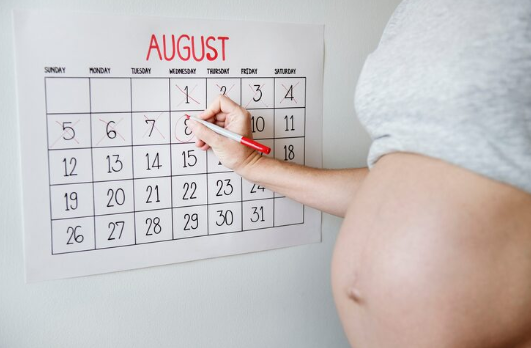 gebelik-takibi-saglikli-bir-hamilelik-icin-bilinmesi-gerekenler-op-dr-zeynel-abidin-ozdil