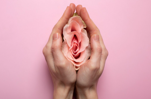 Sosyal ve Psikolojik Yönleriyle Kızlık Zarı Dikimi Hymenoplasty Toplumsal Gereklilik Mi- Op. Dr. Mustafa Nuri Alihanoğlu