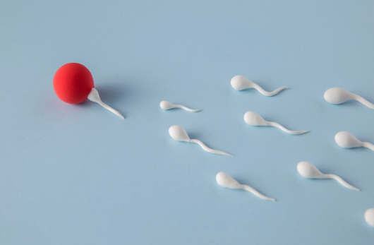 Sperm Yumurtaya Nasıl Ulaşır? Spermin Yolculuğu... - Uzm. Dr. Muzaffer Şengül