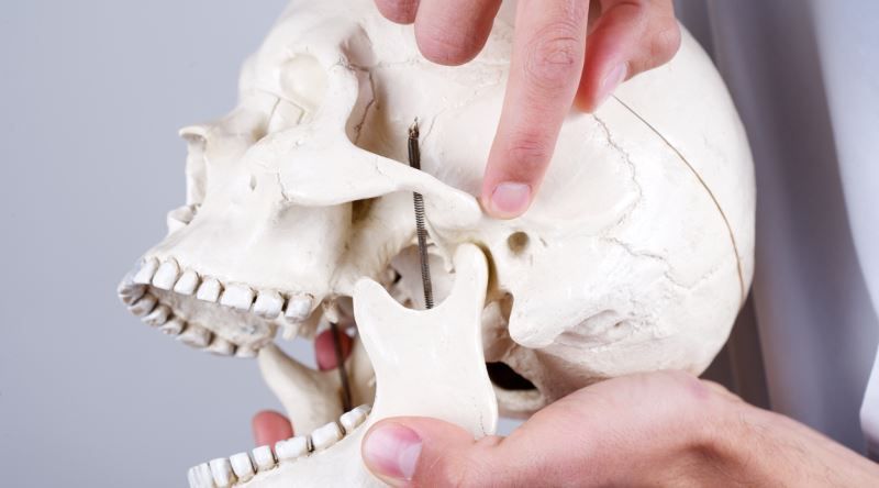 Ağız Diş ve Çene Cerrahisi 2