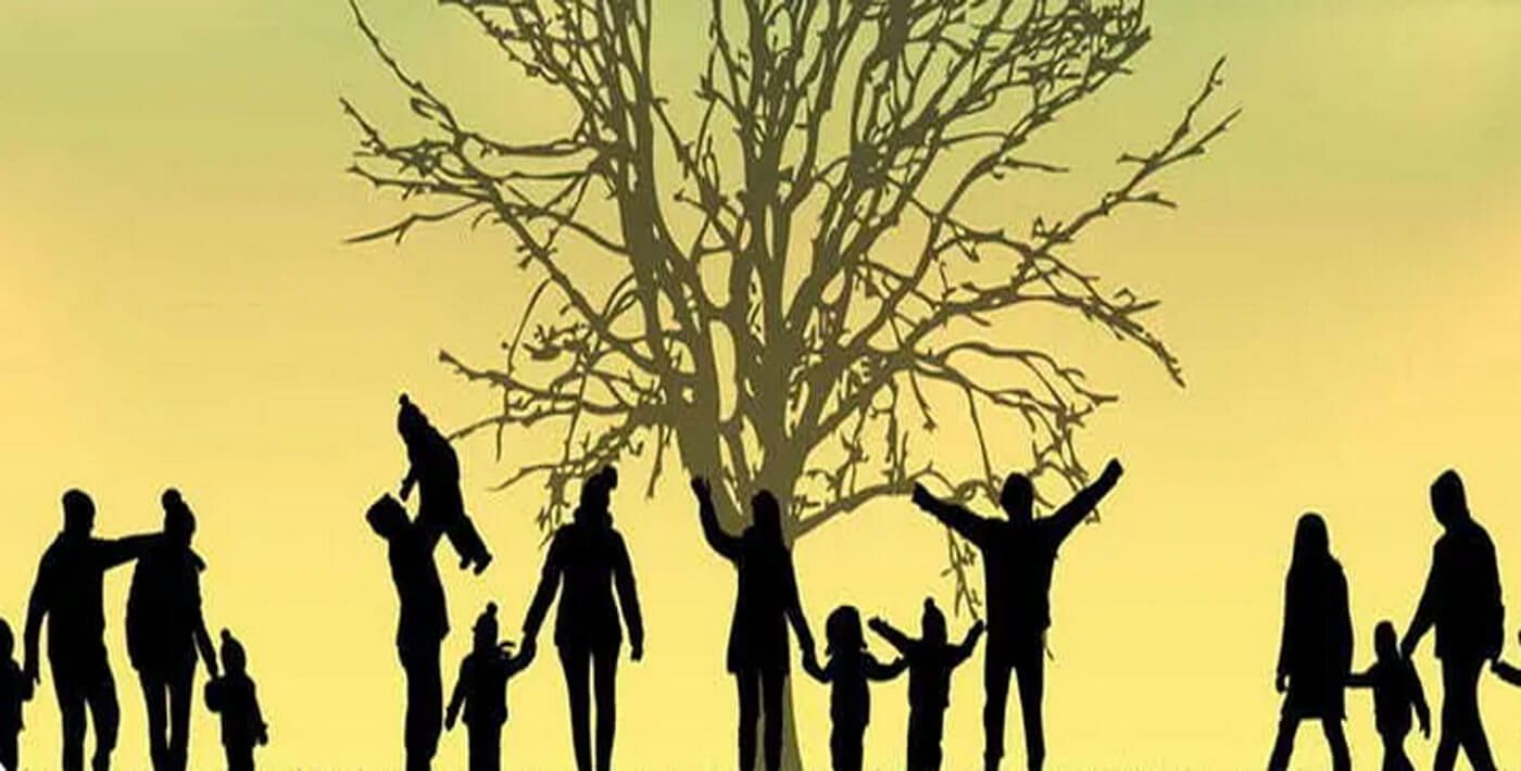 Aile Dizimi Nedir? 2