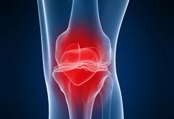 op-kreuzbandriss-hund