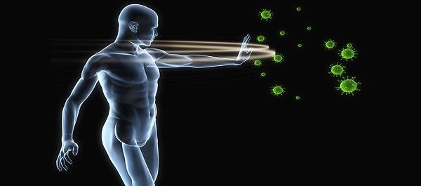 Bağışıklık Sistemini Güçlendiren Besinler