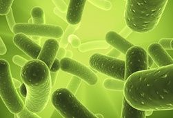 zahnfleischtaschen-mundhoehle-bakterien