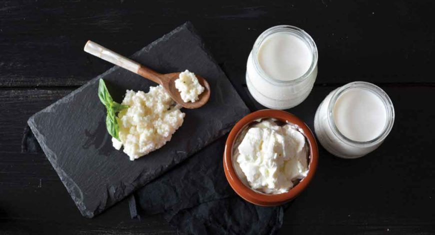 Beslenmede Probiyotiklerin Önemi