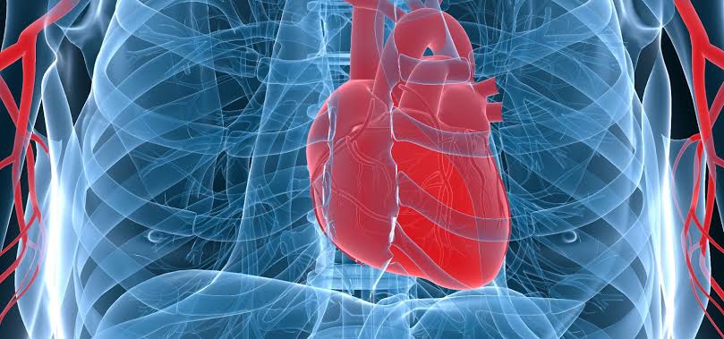 Biküspit Aort Kapak