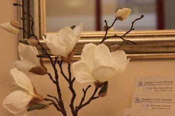 dr-heinz-joerg-schluenzen-im-jameda-interview