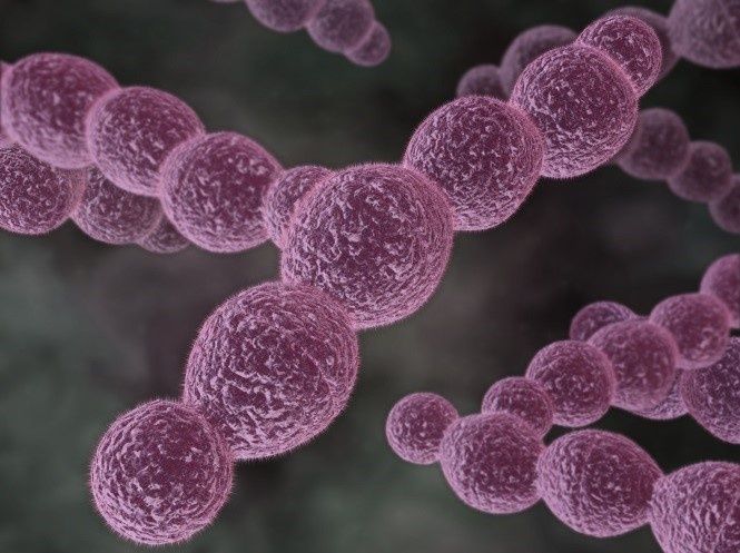 endoprotheseninfektion-vermeiden-so-gehts