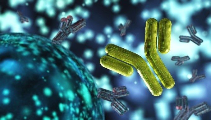 Immunonkologische Therapie: Checkpoint-Hemmer als Behandlungsoption bei bestimmten Krebsarten
