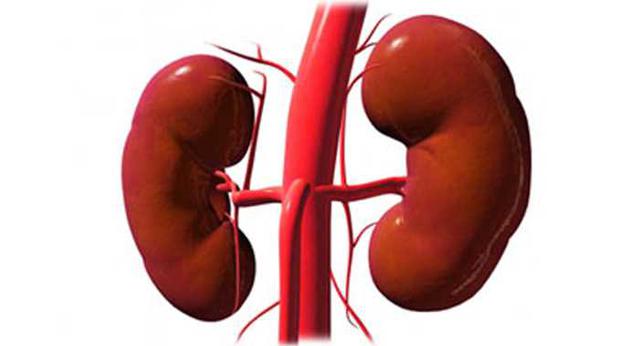 Böbrek Nakli ile İlgili Bilmeniz Gerekenler