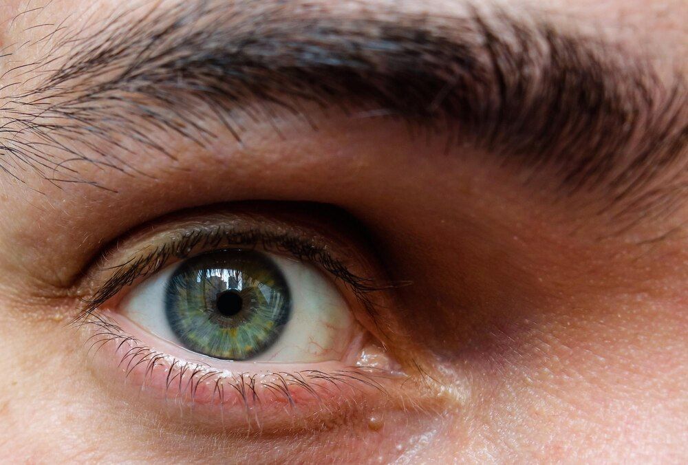close-up de olho humano verde e sobrancelha, íris e cílios
