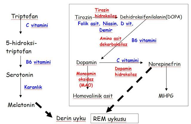 DEPRESYONDA DOĞRU BESLENME