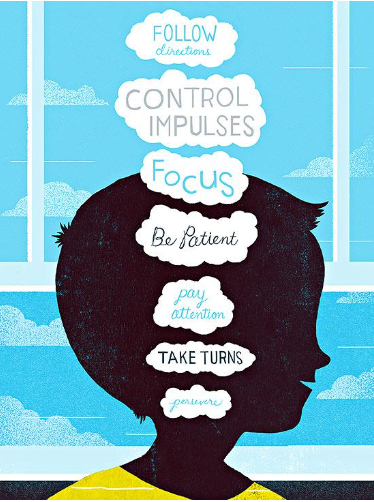 Executive Function Skills