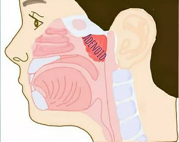 Geniz Eti Büyümesi