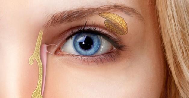 Gözyaşı Kanalı Tıkanıklığı Nedir ve Nasıl Tedavi Edilir?