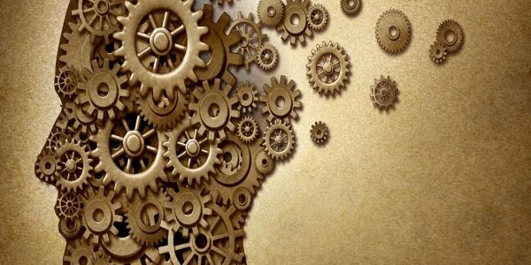 Hayatın Anlamı Kaşıkta