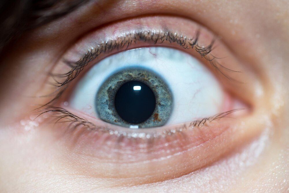 close-up de olho humano