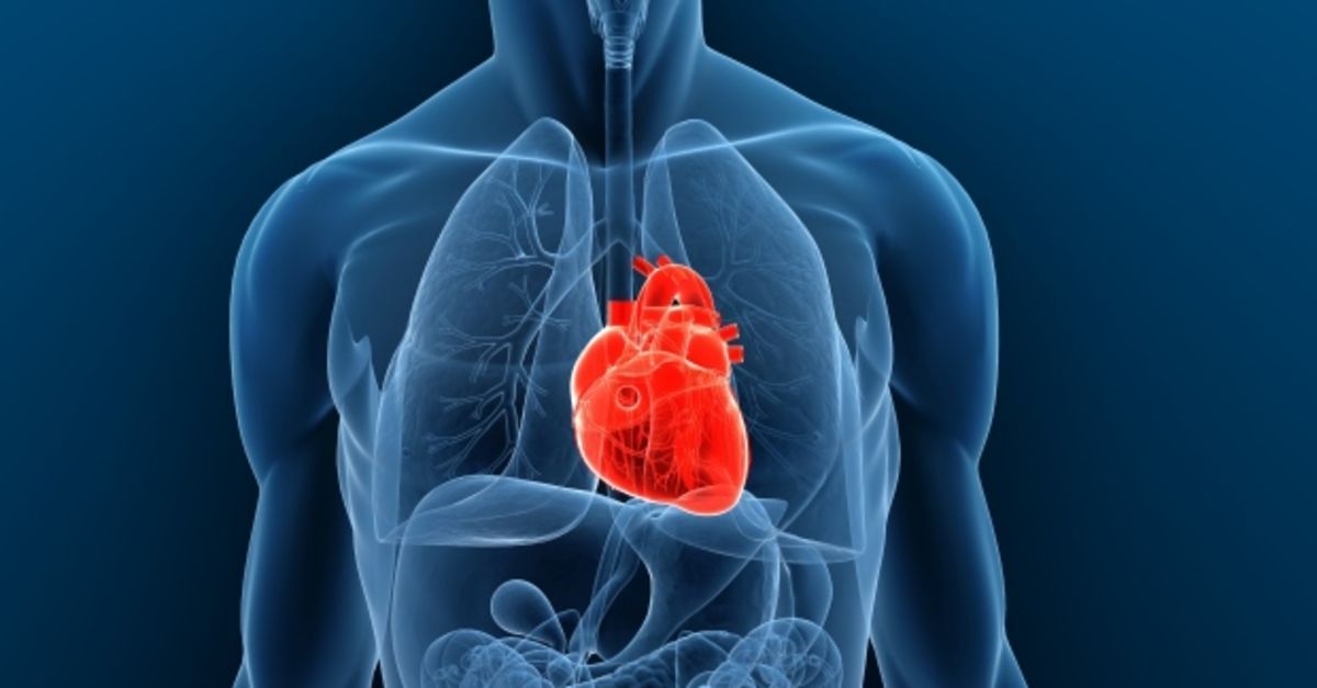 Kalbimiz Ne Kadar Önemli