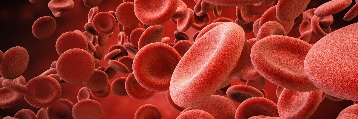 Kanama Çeşitleri Nelerdir?