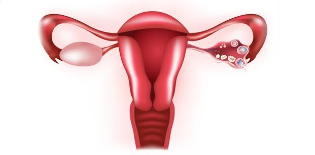 Kapalı Rahim Alma Ameliyatı (Laparoskopik Histerektomi) Nedir?