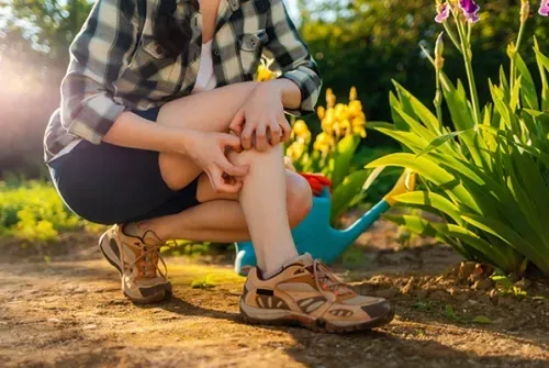 Kırım-Kongo Kanamalı Ateşi