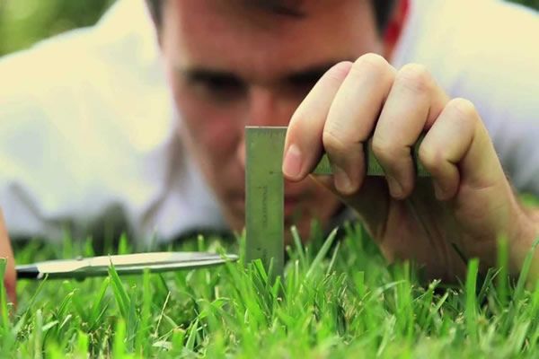 Mükemmeliyetçilik ve Kontrolcü Kişilik Yapısı