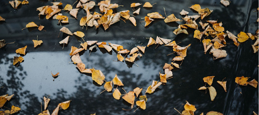 Nasıl Daha Değerli Olabilirim?