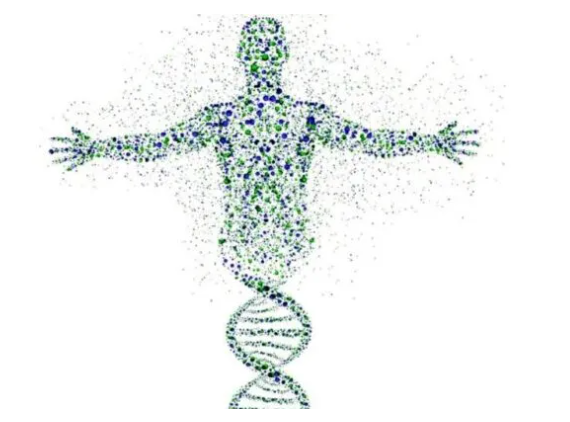 Öğrendiğimiz İlk Dil