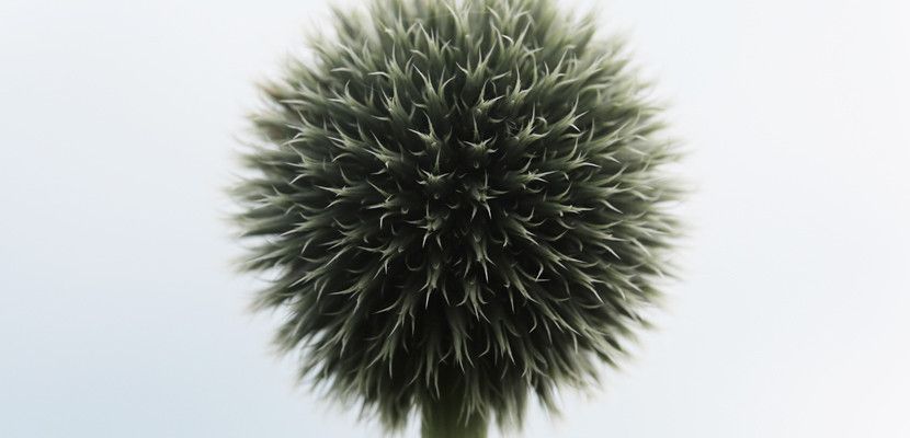 OTTUR ZARARI ÇOKTUR....