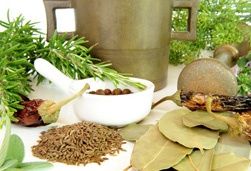 phytopharmaka-arzneipflanzen