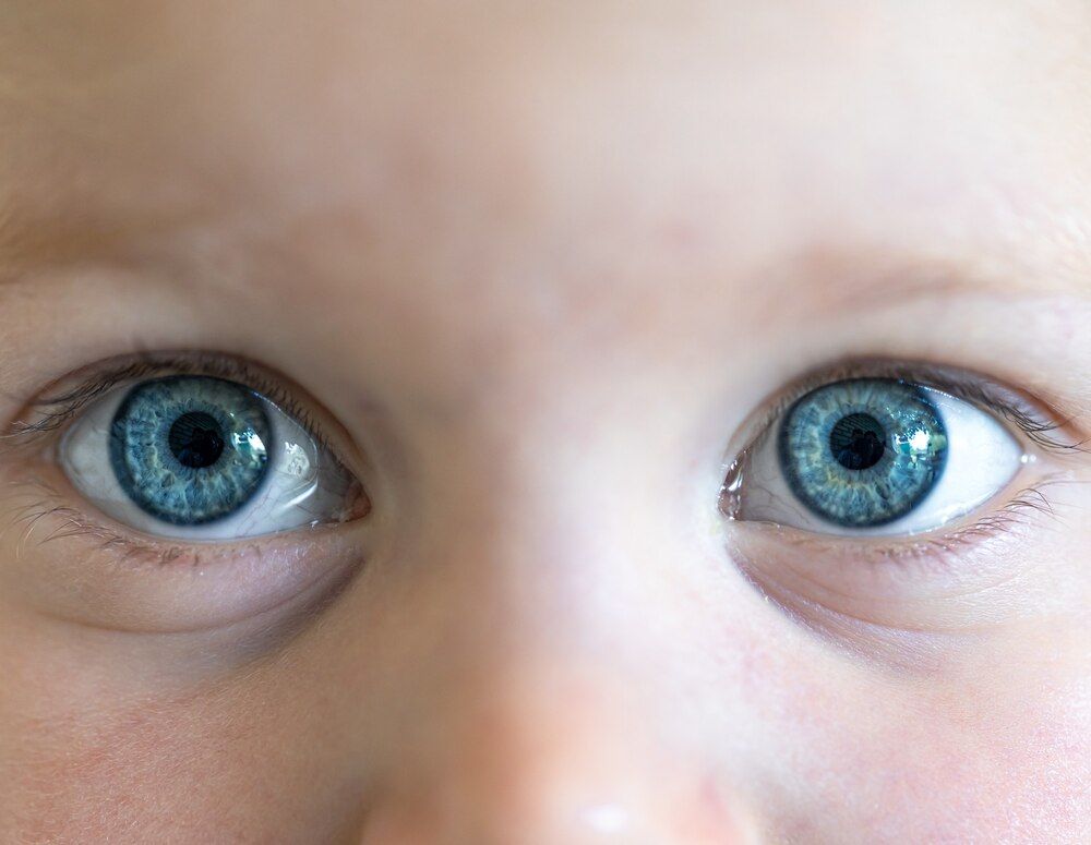 primeiro plano de belos olhos azuis de uma criança.