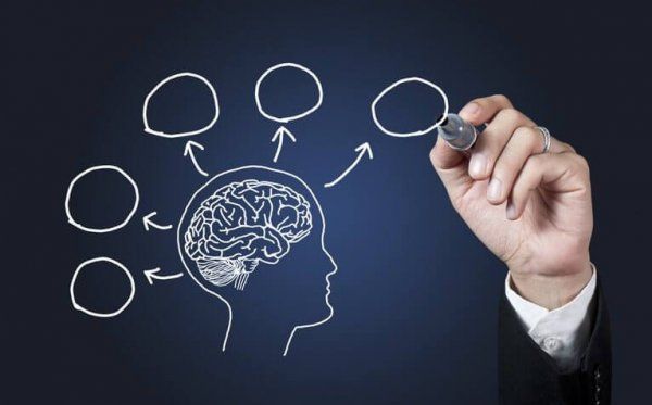 Psikolog Kimdir, Psikoterapi Nedir?