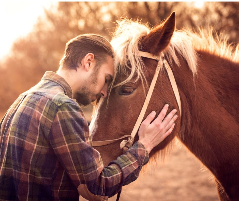 Muž objímá hlavu koně