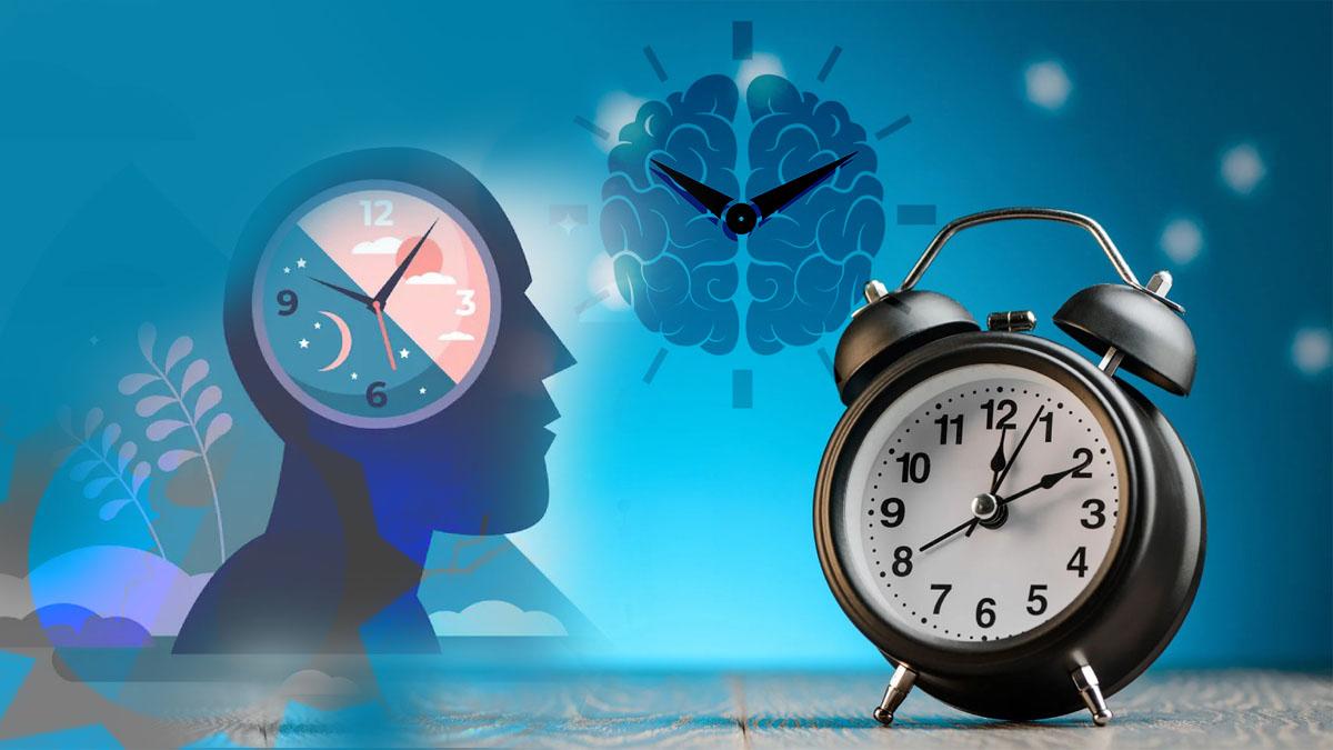 Sirkadiyen Ritim Nedir?