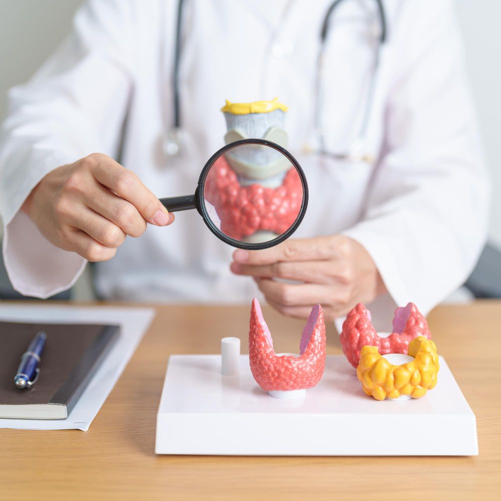 medico mostrando o sistema endocrino com objetos
