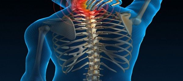 Spinal Kord (Omurilik) Yaralanmaları