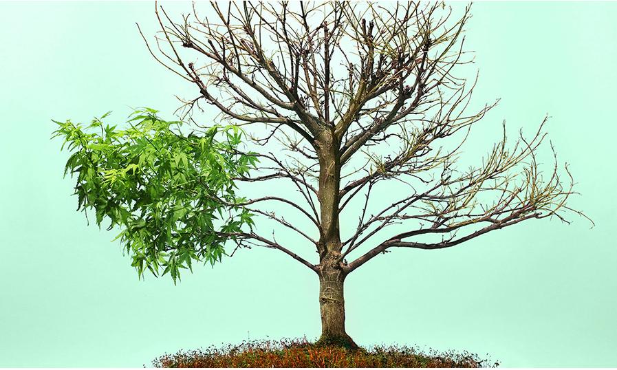 Travma Sonrası Büyüme 5